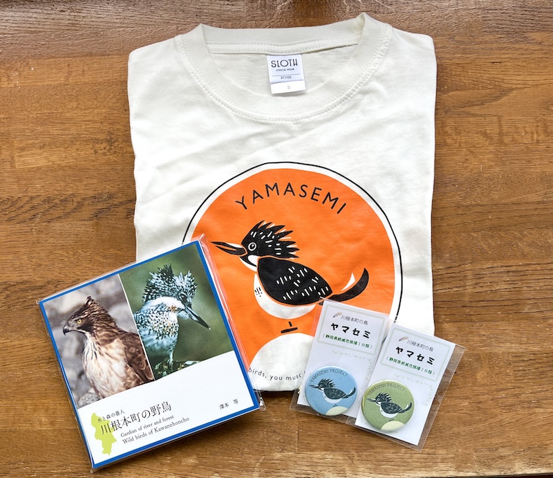 エコティかわね